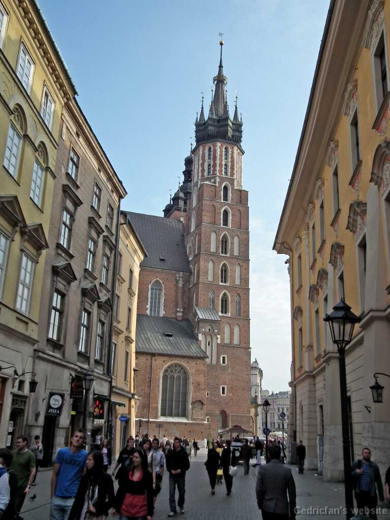 DSCF9443