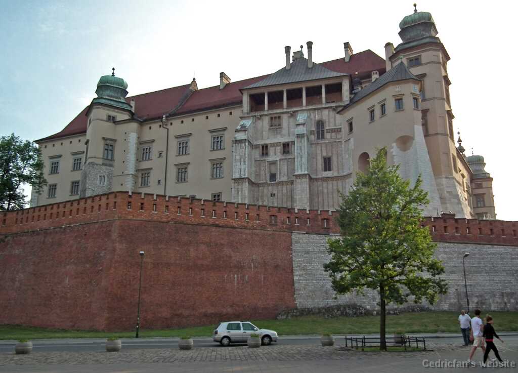 DSCF9455