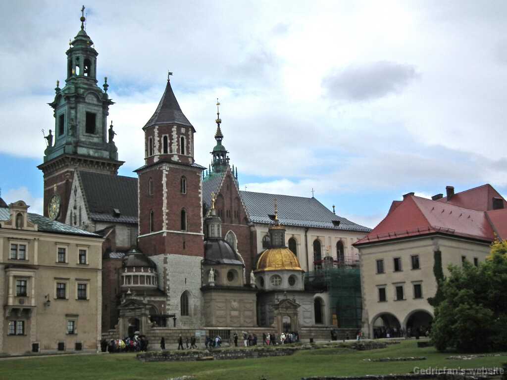 DSCF9515