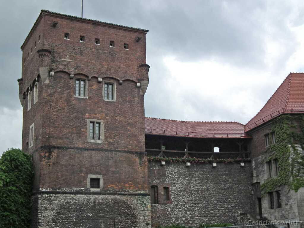 DSCF9516