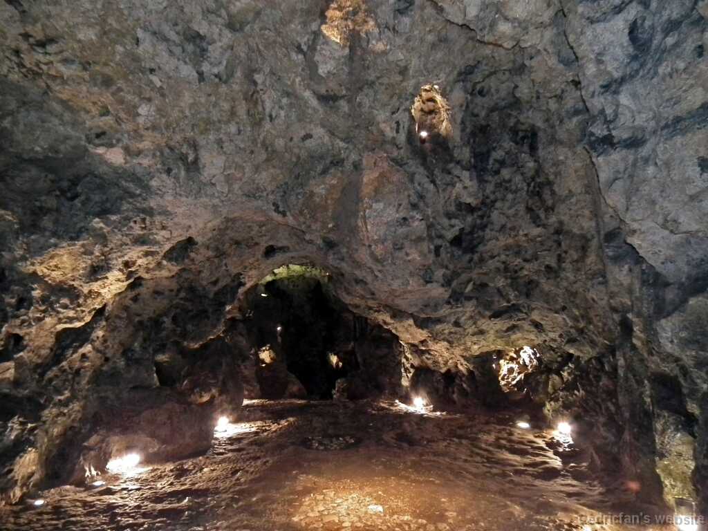 DSCF9518