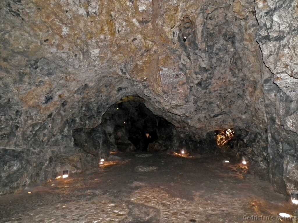 DSCF9519