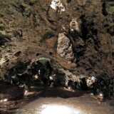DSCF9521