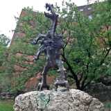 DSCF9524
