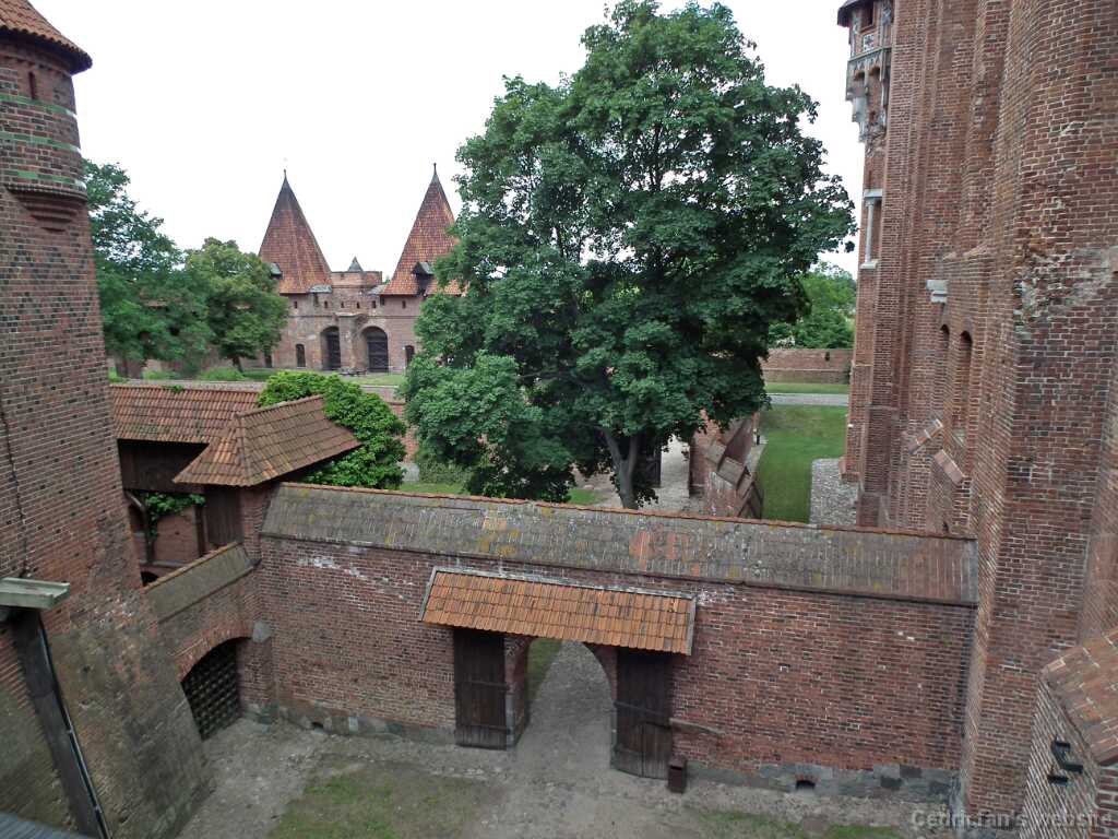 DSCF9589