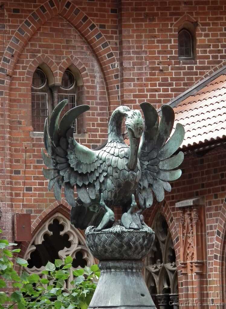 DSCF9593