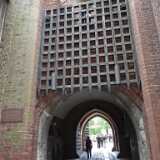 DSCF9584