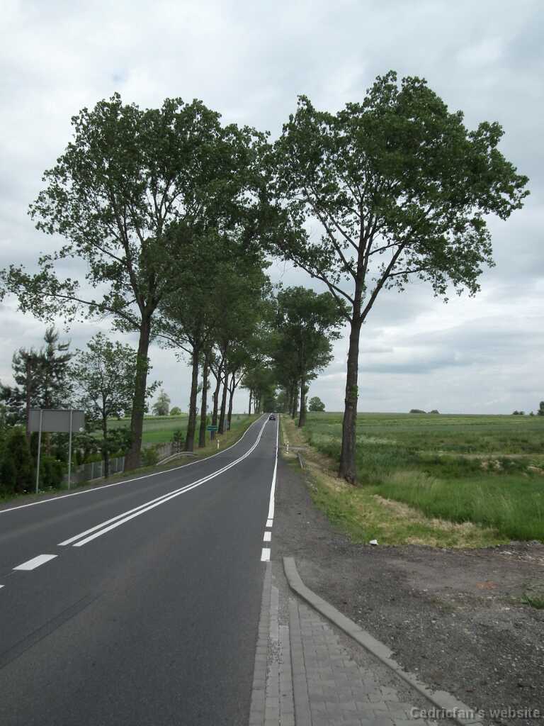 DSCF9435