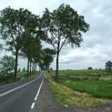 DSCF9436