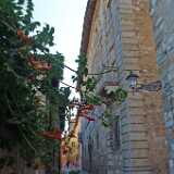 DSCF1799