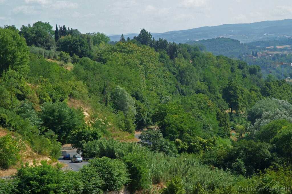 DSCF1795