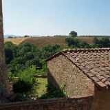 DSCF1781