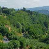 DSCF1795