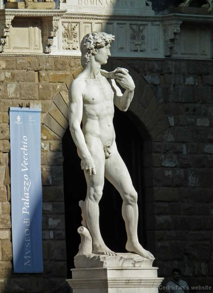 DSCF0094FirenzeMichelangeloDavid