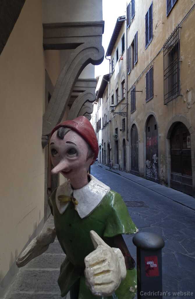 DSCF0115FirenzePinocchio