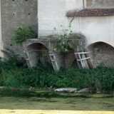 DSCF0111