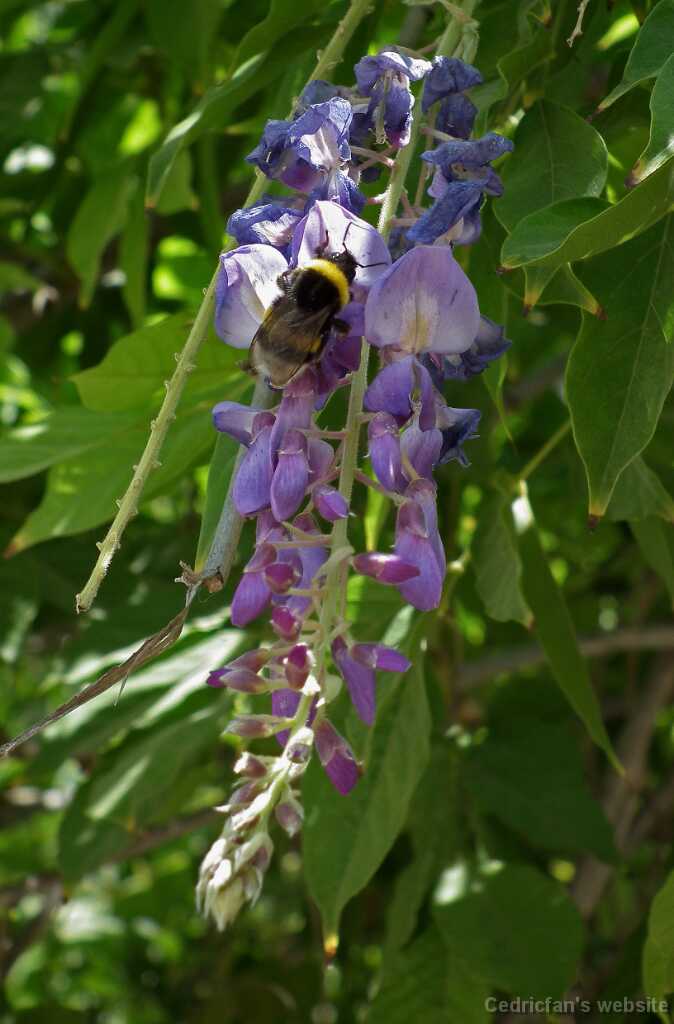 DSCF9935