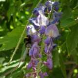 DSCF9933