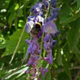 DSCF9935