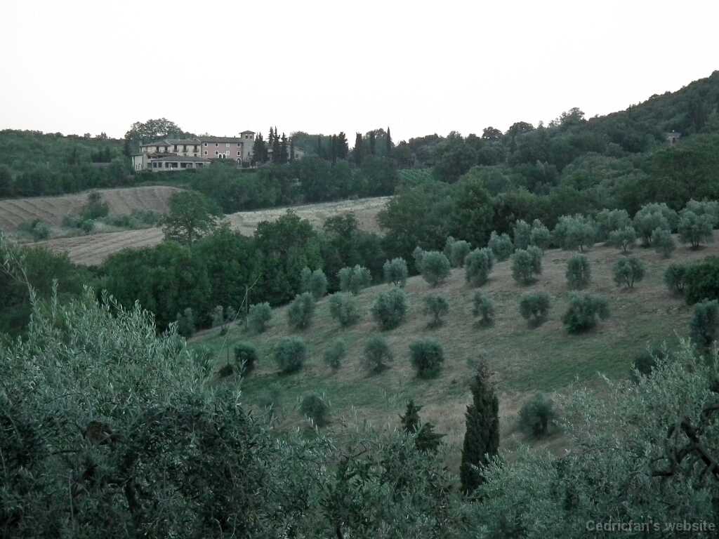 DSCF9846