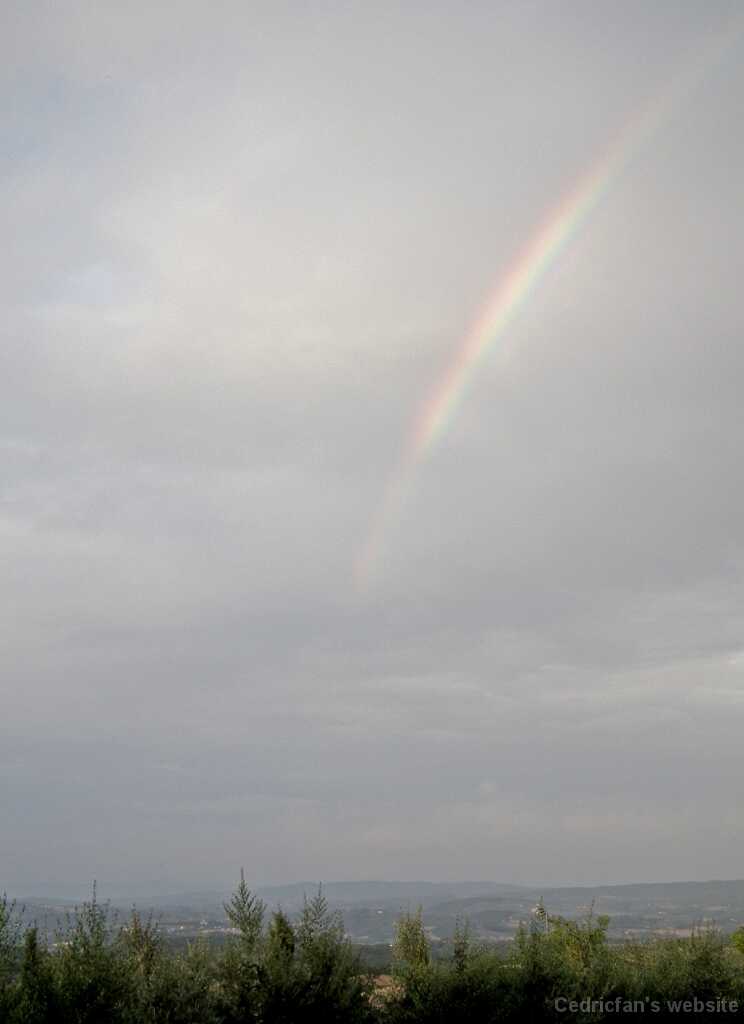 DSCF9860