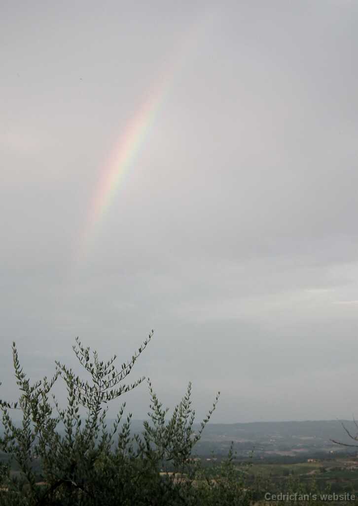 DSCF9862