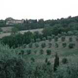 DSCF9846