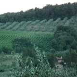 DSCF9847