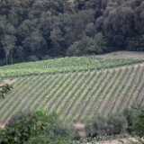 DSCF9858