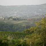 DSCF9859