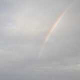 DSCF9860