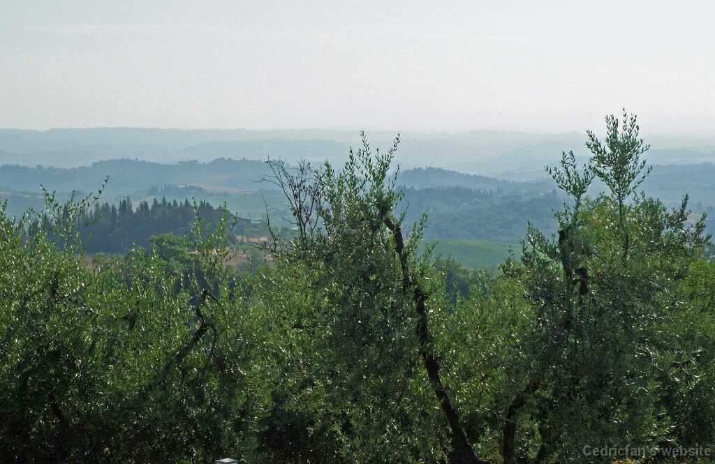 DSCF1742