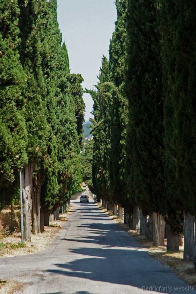 DSCF1861