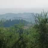 DSCF1741