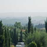 DSCF1749