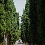DSCF1861