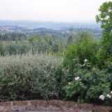 DSCF1939
