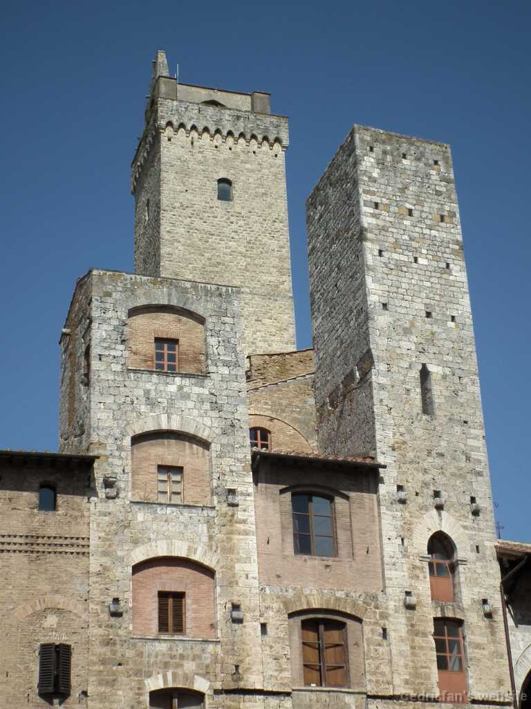 DSCF9902