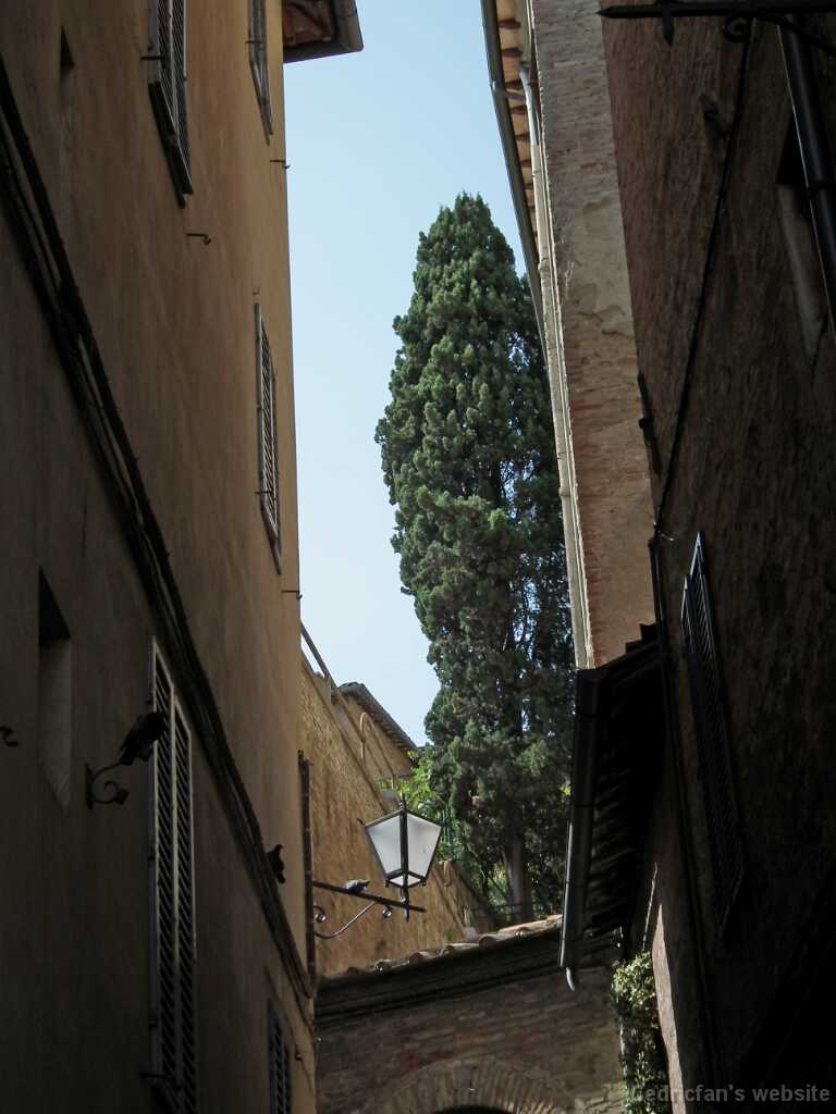 DSCF9997