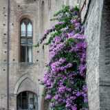 DSCF0034