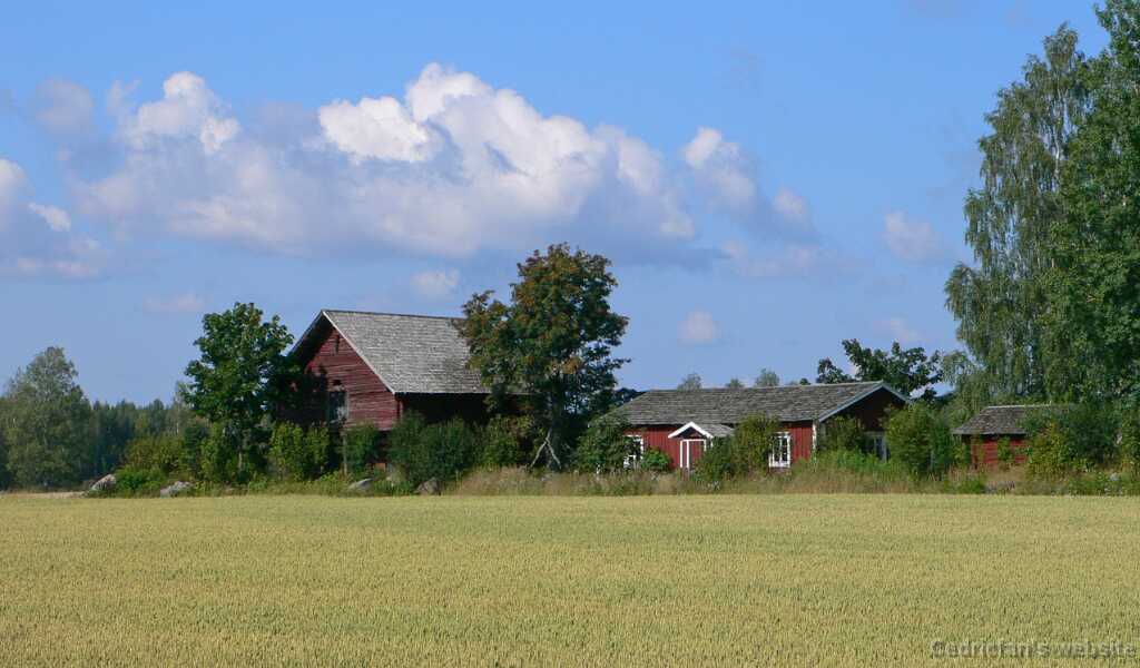P1010277