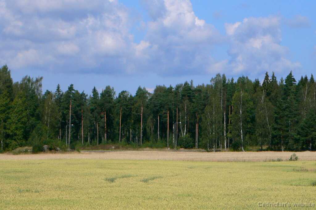 P1010278
