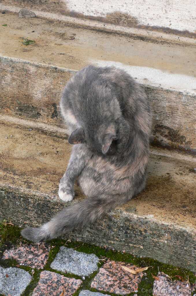 P1010284