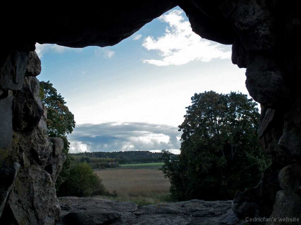 DSCF0254