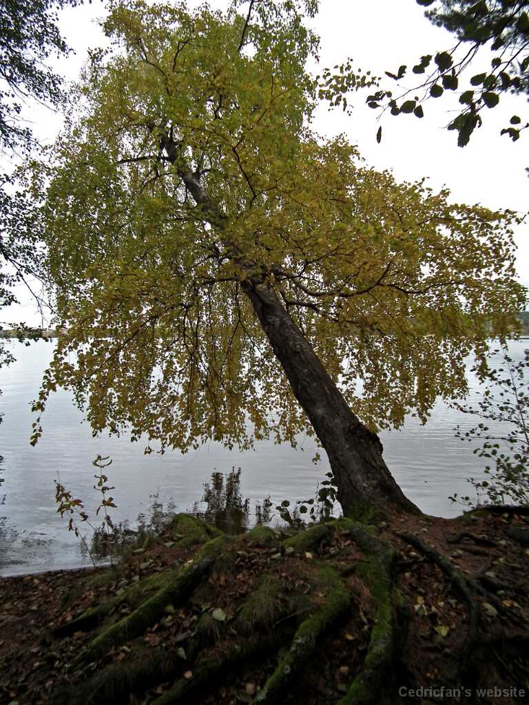DSCF0290