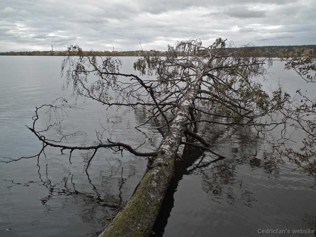 DSCF0291