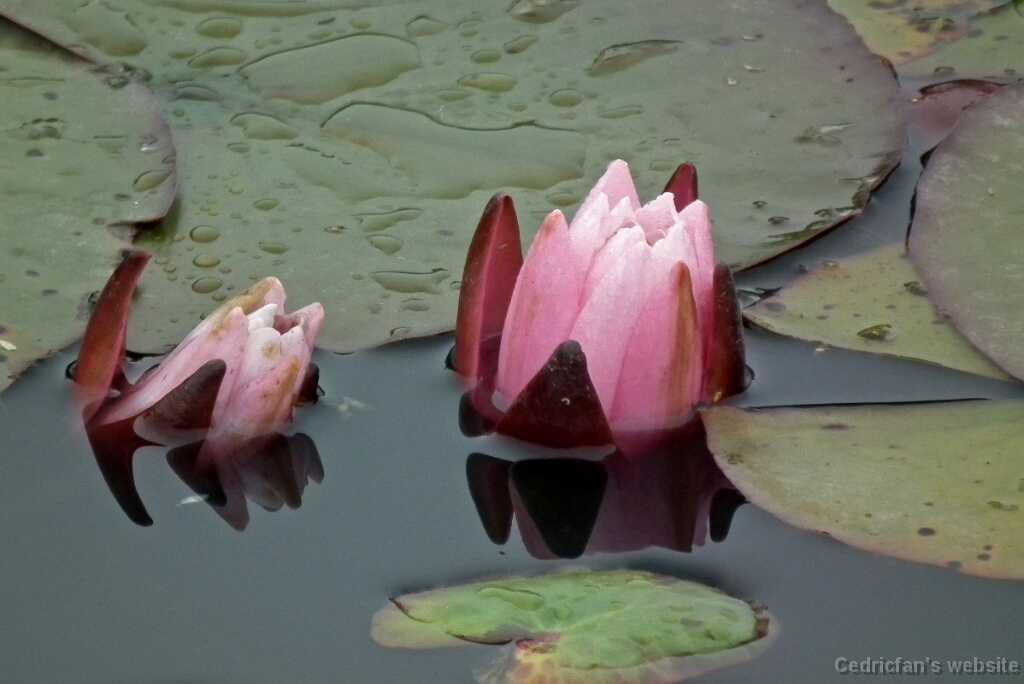 DSCF0301