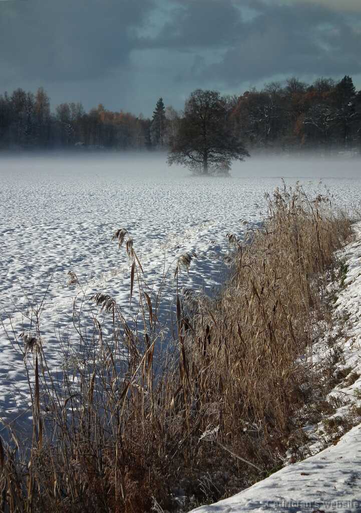 DSCF0314