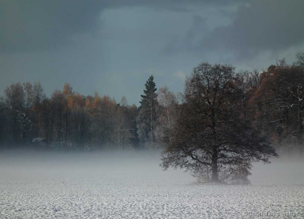 DSCF0315