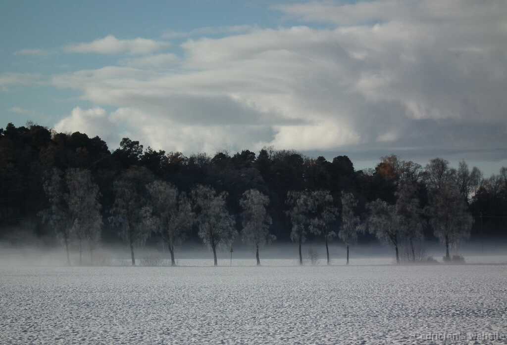 DSCF0319